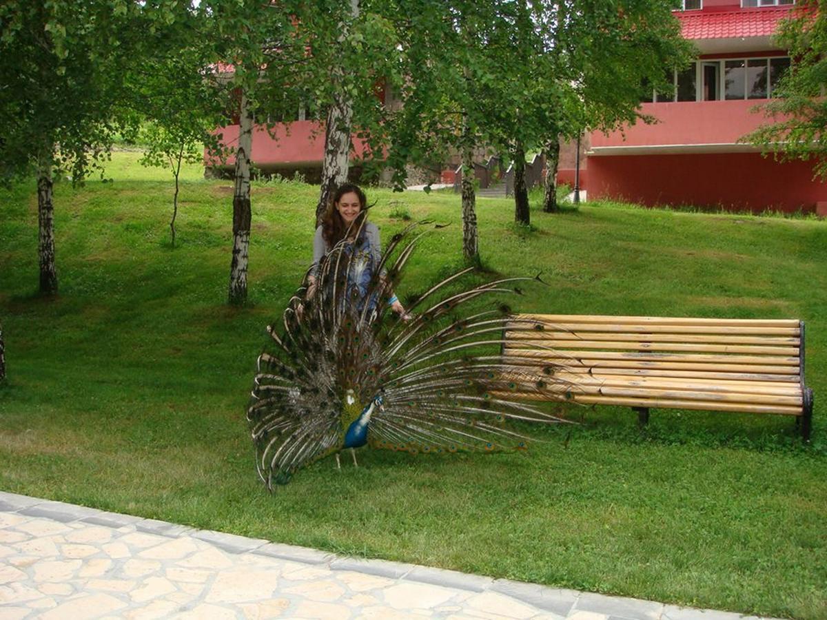 Ani Resort Artavaz Εξωτερικό φωτογραφία