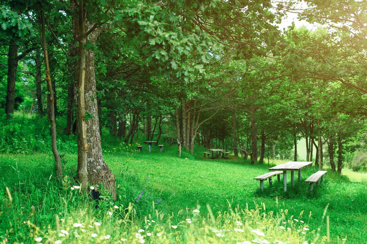 Ani Resort Artavaz Εξωτερικό φωτογραφία